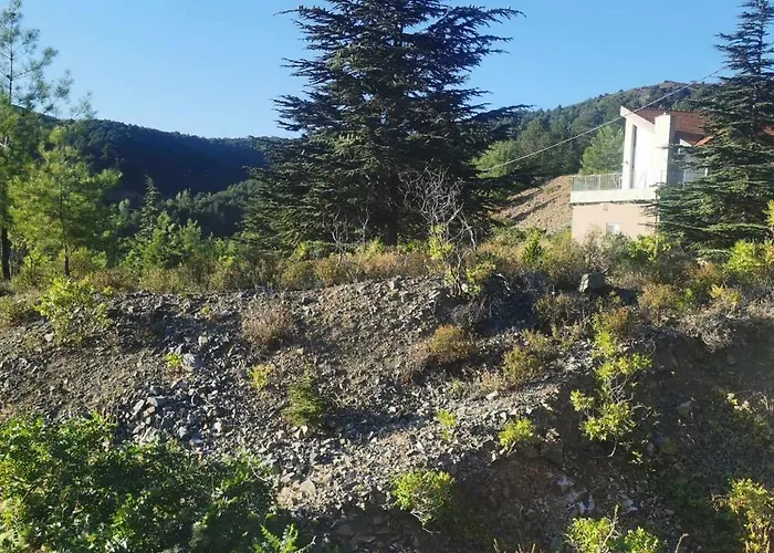 The Mouflon House Pedoulas