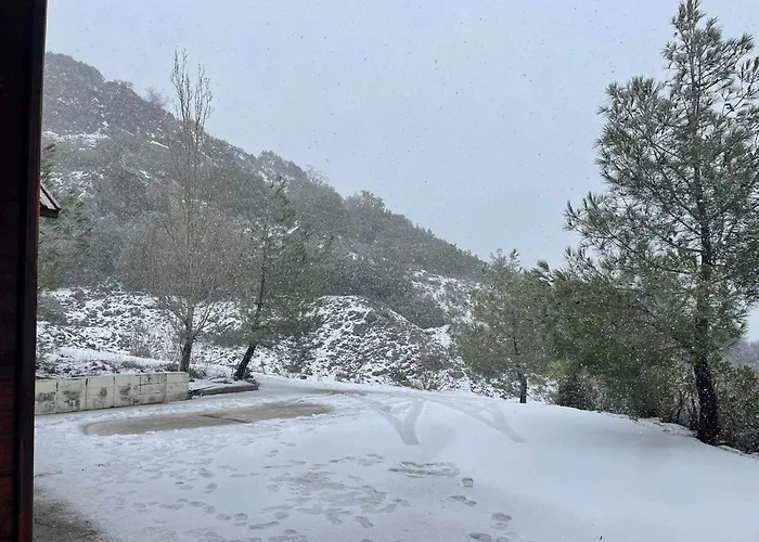 The Mouflon House Pedoulas Дом отдыха