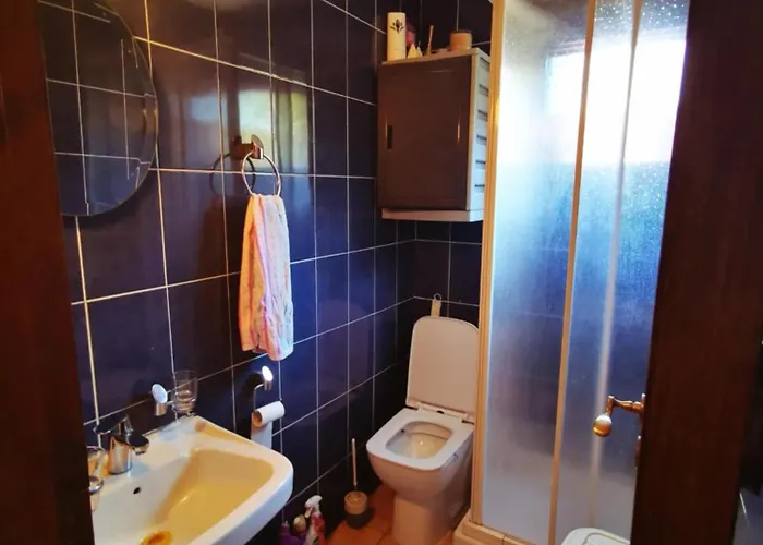 The Mouflon House Pedoulas Дом отдыха Никосия