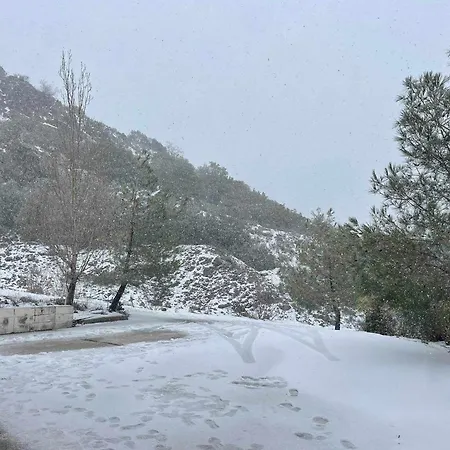 The Mouflon House Pedoulas בית נופש